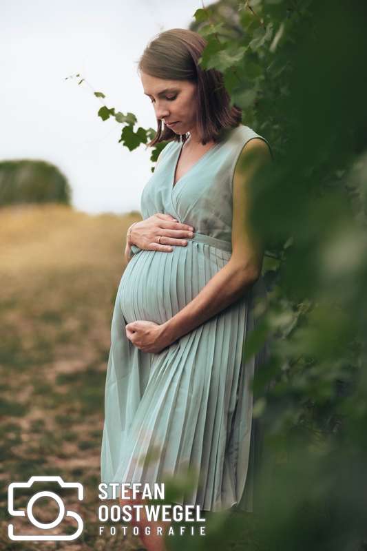 Stefan Oostwegel Fotografie - 