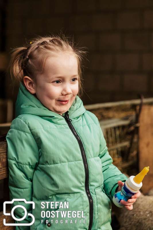 Stefan Oostwegel Fotografie - 