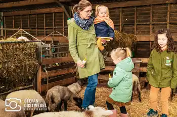 Lammetjes dagen – foto 3