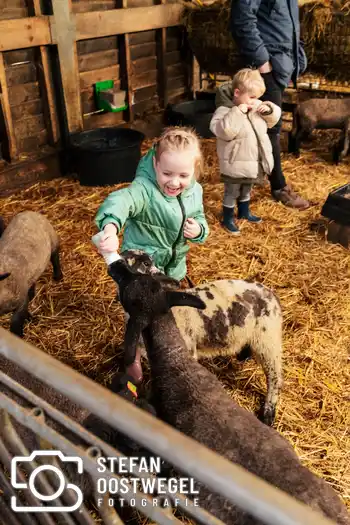 Lammetjes dagen – foto 4