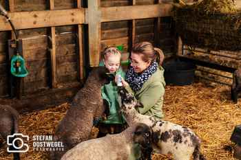Stefan Oostwegel Fotografie - Lammetjes dagen