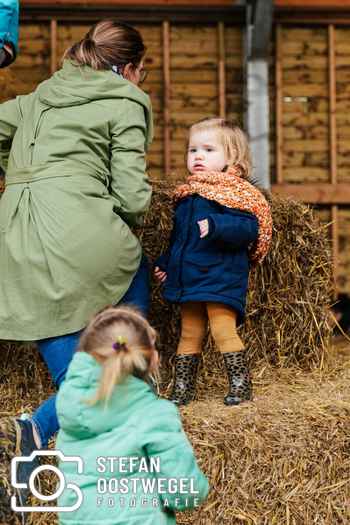 Stefan Oostwegel Fotografie - Lammetjes dagen