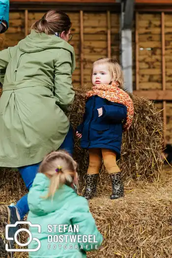 Lammetjes dagen – foto 6