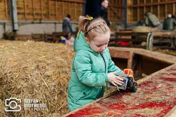 Stefan Oostwegel Fotografie - Lammetjes dagen