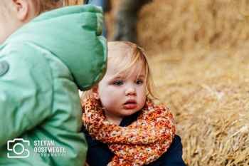 Stefan Oostwegel Fotografie - Lammetjes dagen