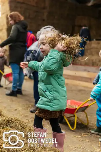 Lammetjes dagen – foto 11
