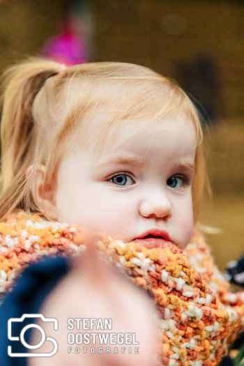 Stefan Oostwegel Fotografie - Lammetjes dagen