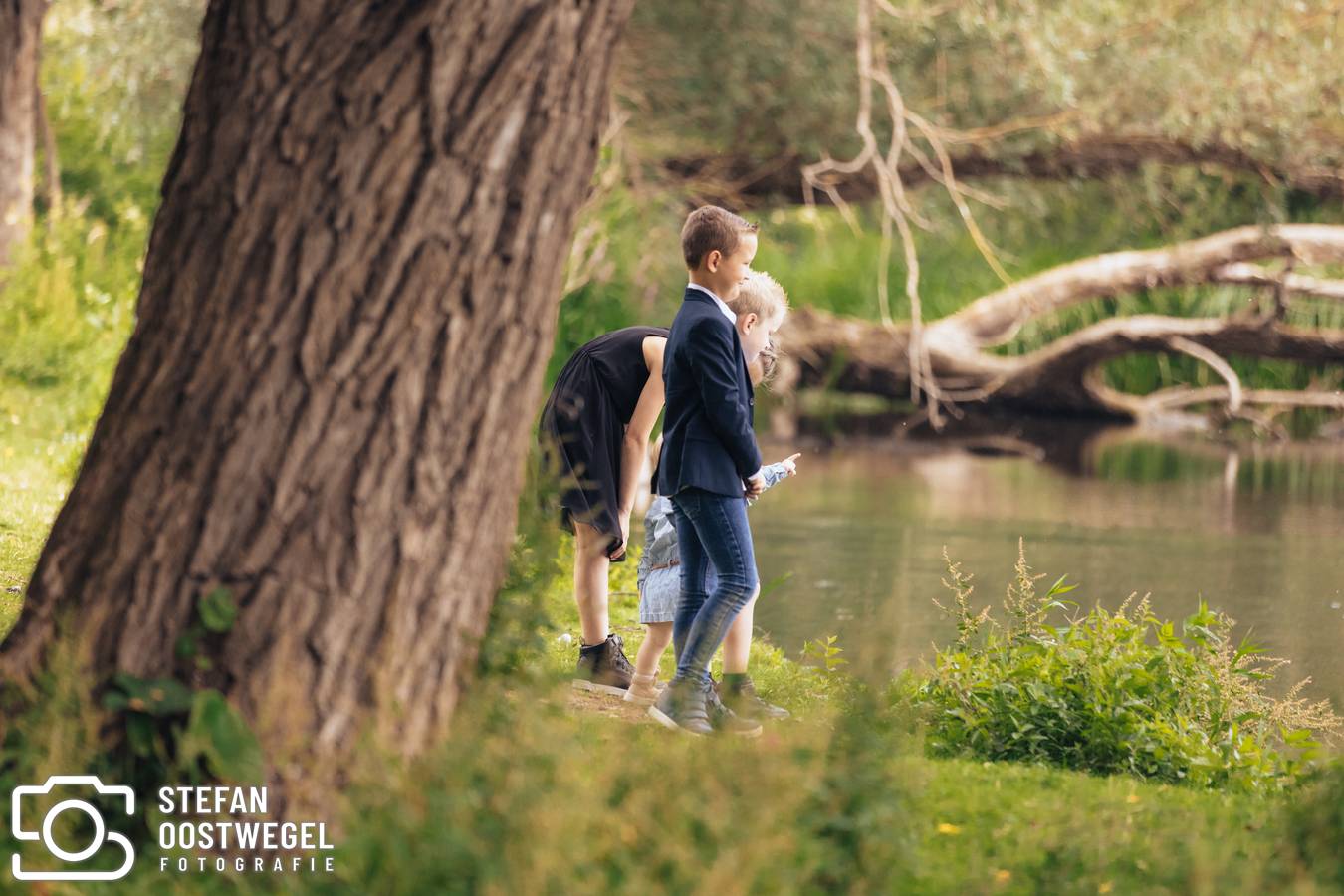 Stefan Oostwegel Fotografie - 