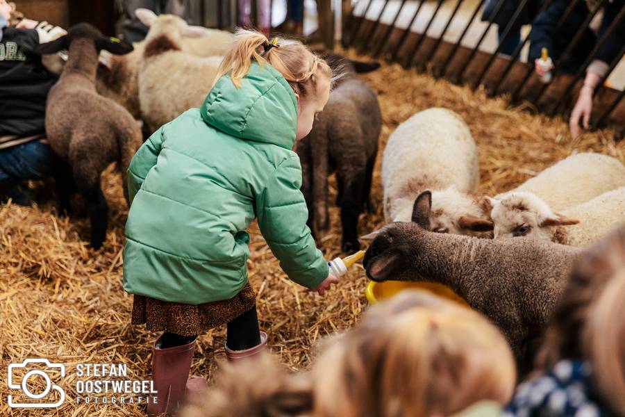 Day in the life fotografie