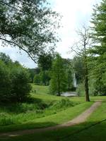 Stefan Oostwegel Fotografie - 