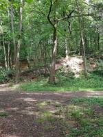 Stefan Oostwegel Fotografie - 