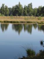 Stefan Oostwegel Fotografie -