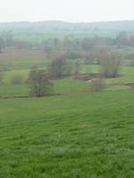 Stefan Oostwegel Fotografie - 